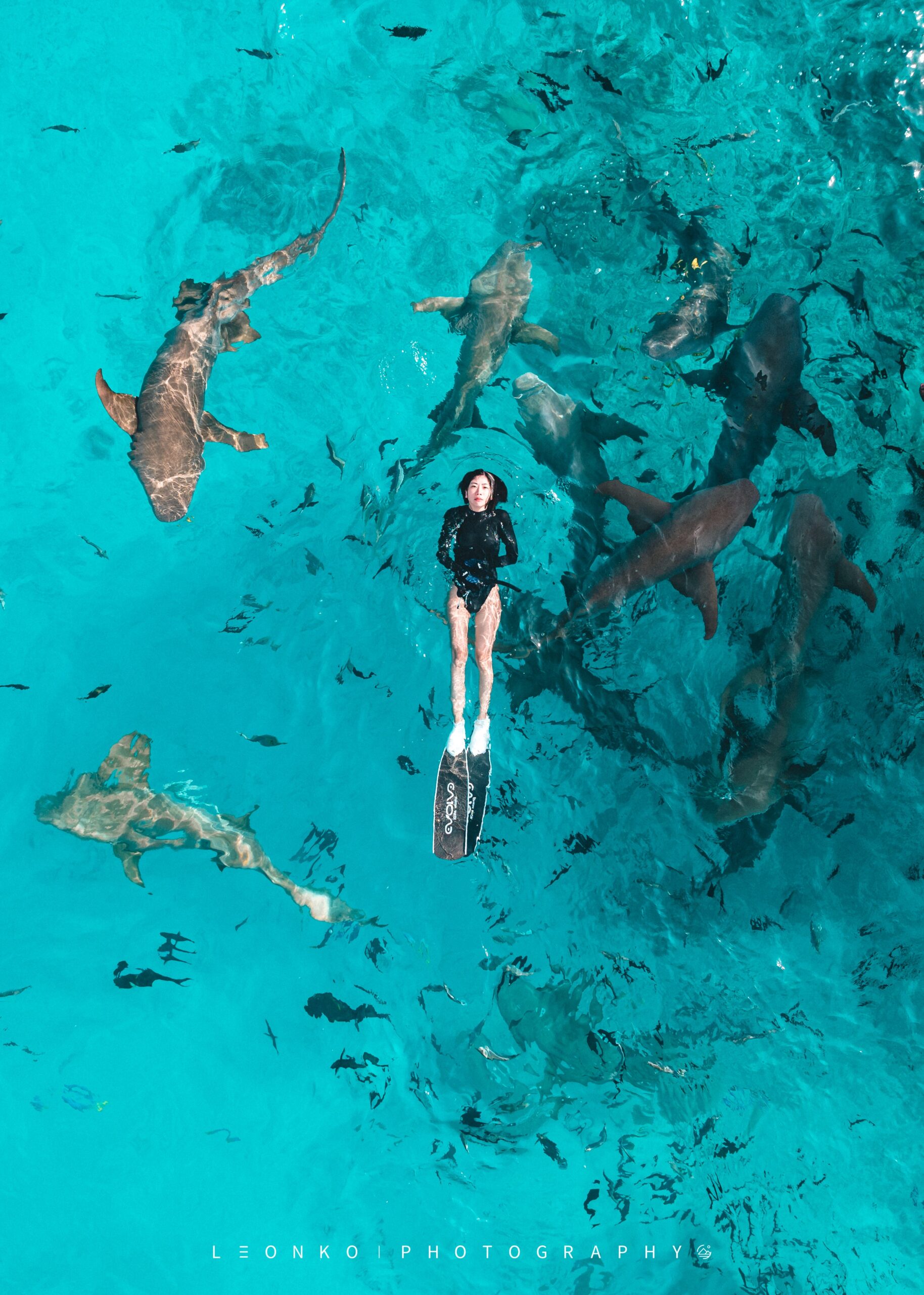 海の青の中を潜るフリーダイバー — Evolve公式ブランド写真