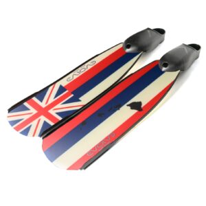 Hawai'i Flag