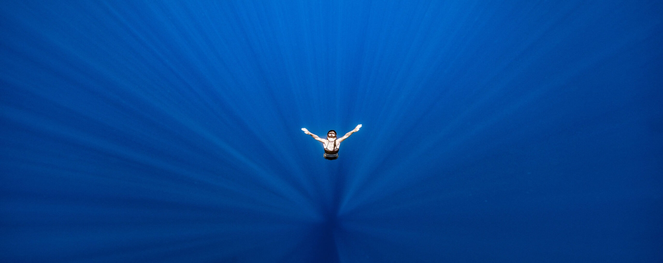 FREEDIVE MANIA 公式サイト掲載素材