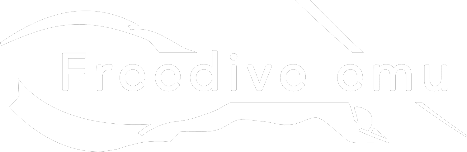FREEDIVE EMU 公式サイト掲載素材
